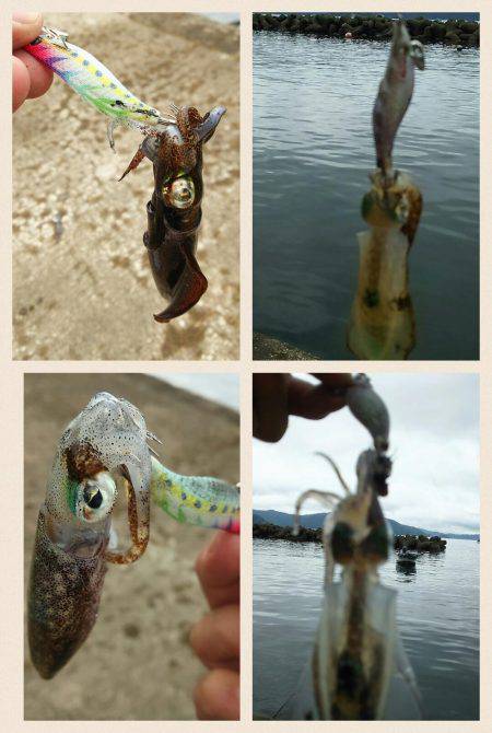 サーフエソング(>_<)